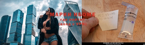 индика Ельня