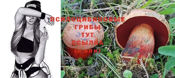 винт Надым