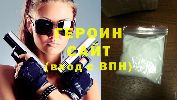 индика Ельня