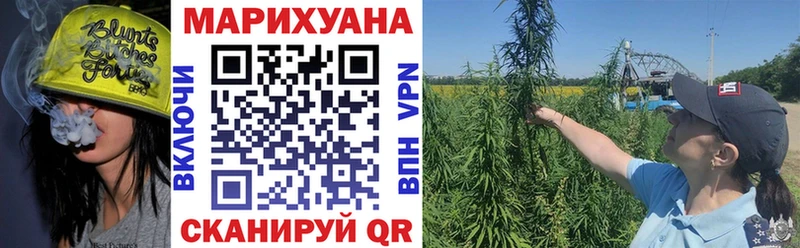 где продают наркотики  Кадников  Марихуана THC 21% 